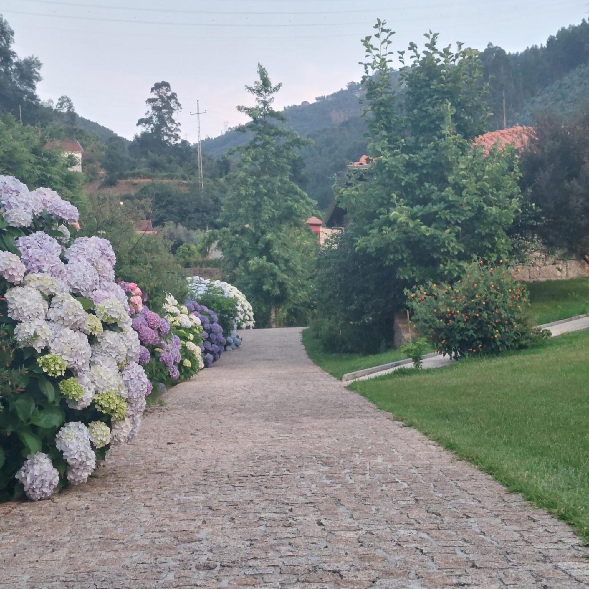 Cottage, Casa Do Laranjal - Near Holiday home *