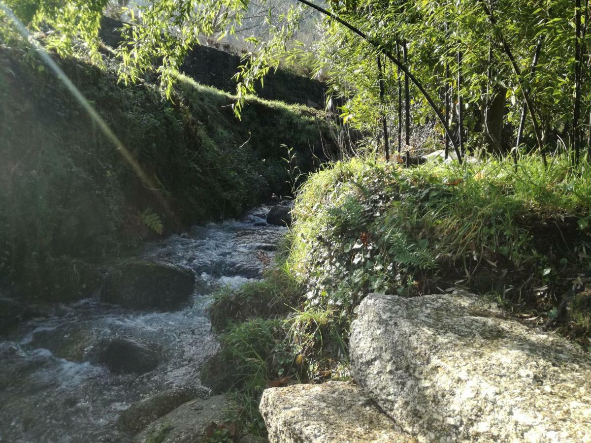 Cottage, Casa Do Laranjal - Near Holiday home